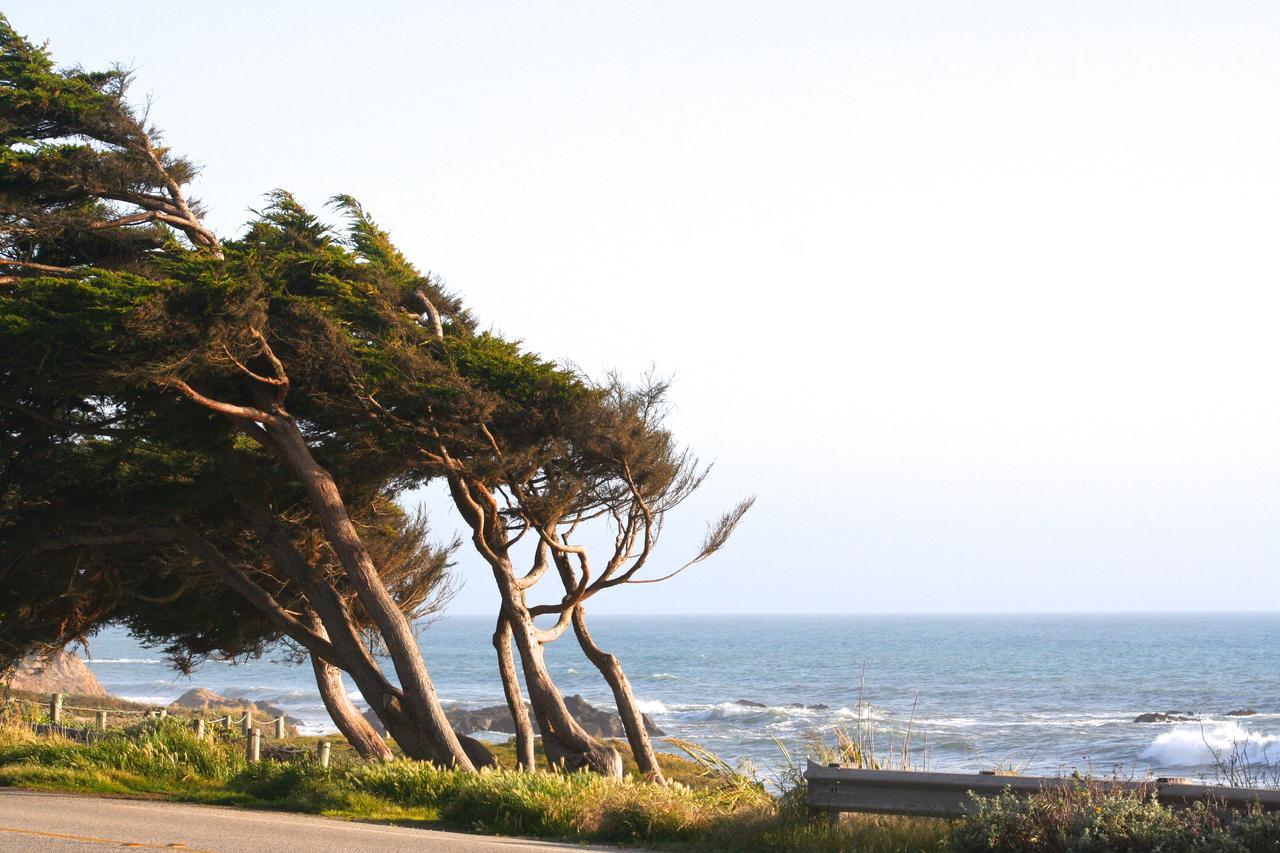 Captain'S Cove Inn Cambria Zewnętrze zdjęcie